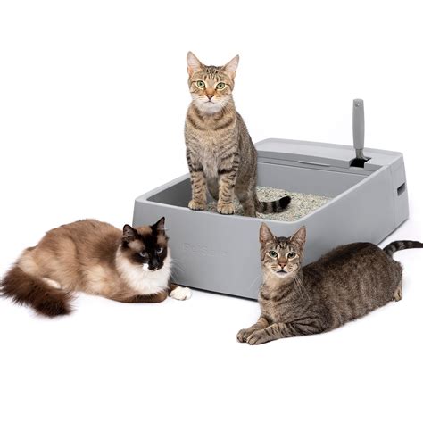 electric litter box extra large|extra large litter box for big cats.